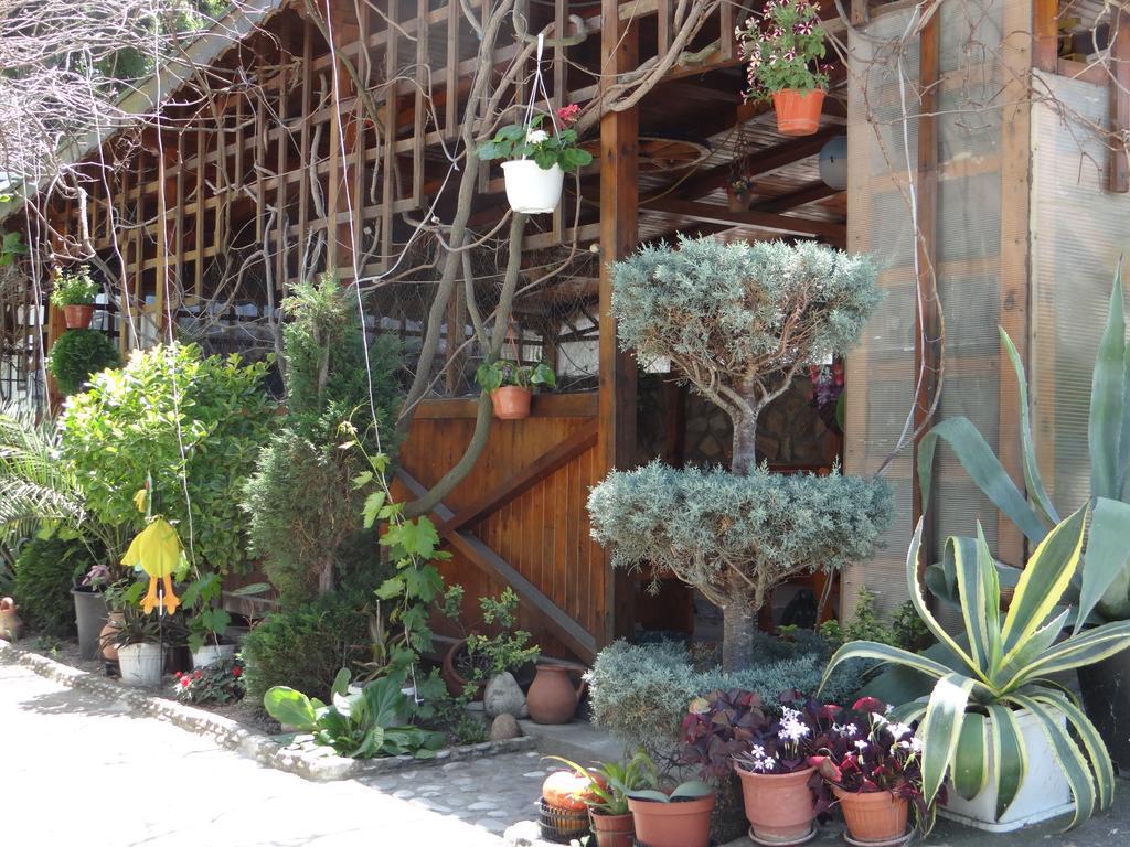 ביאלה Guest House Rusalka מראה חיצוני תמונה