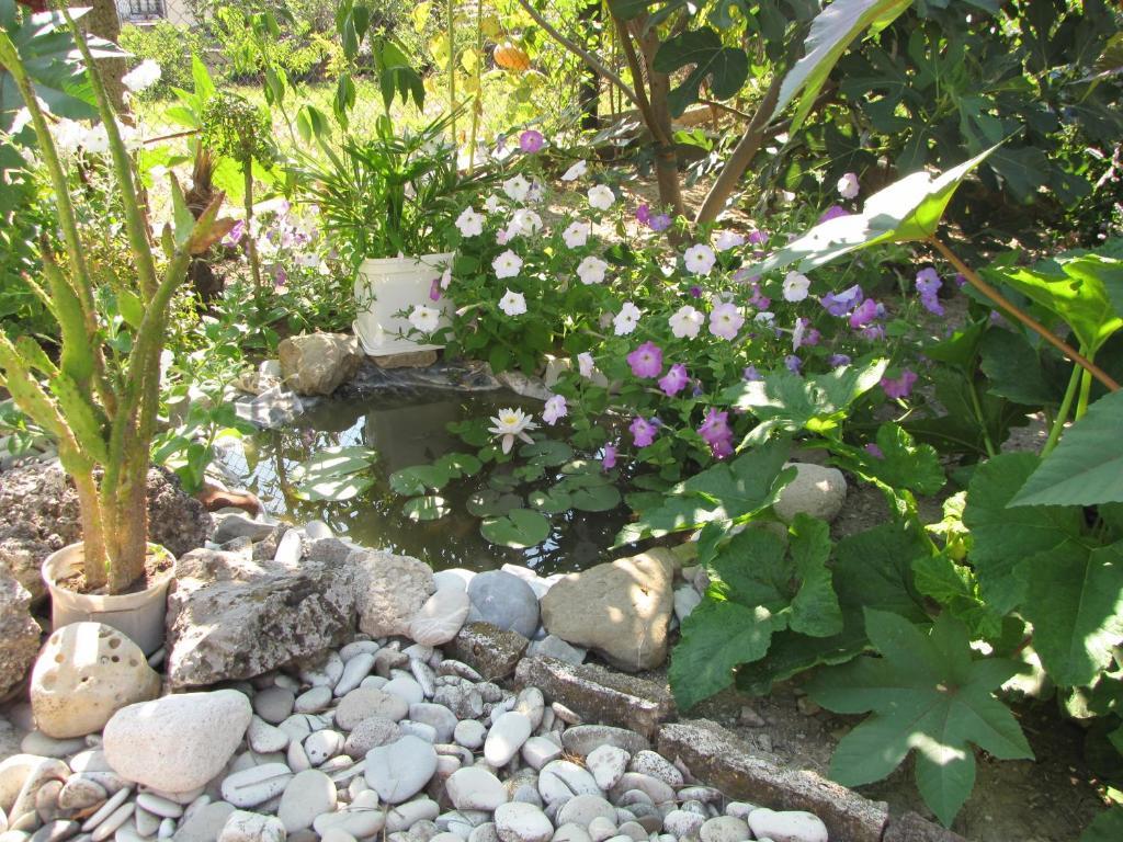 ביאלה Guest House Rusalka מראה חיצוני תמונה